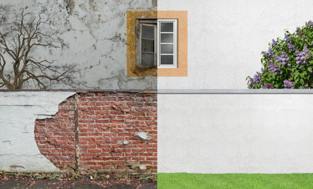  Lewistown, MT Mold Removal Pros